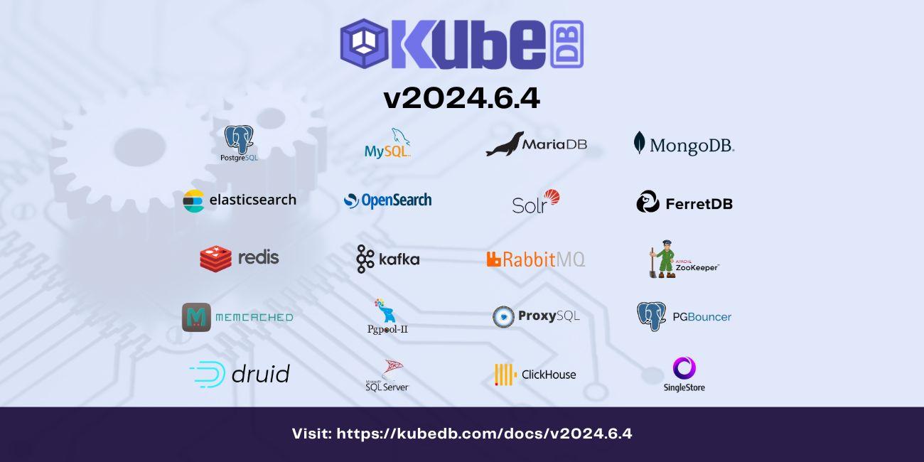 Announcing KubeDB v2024.6.4