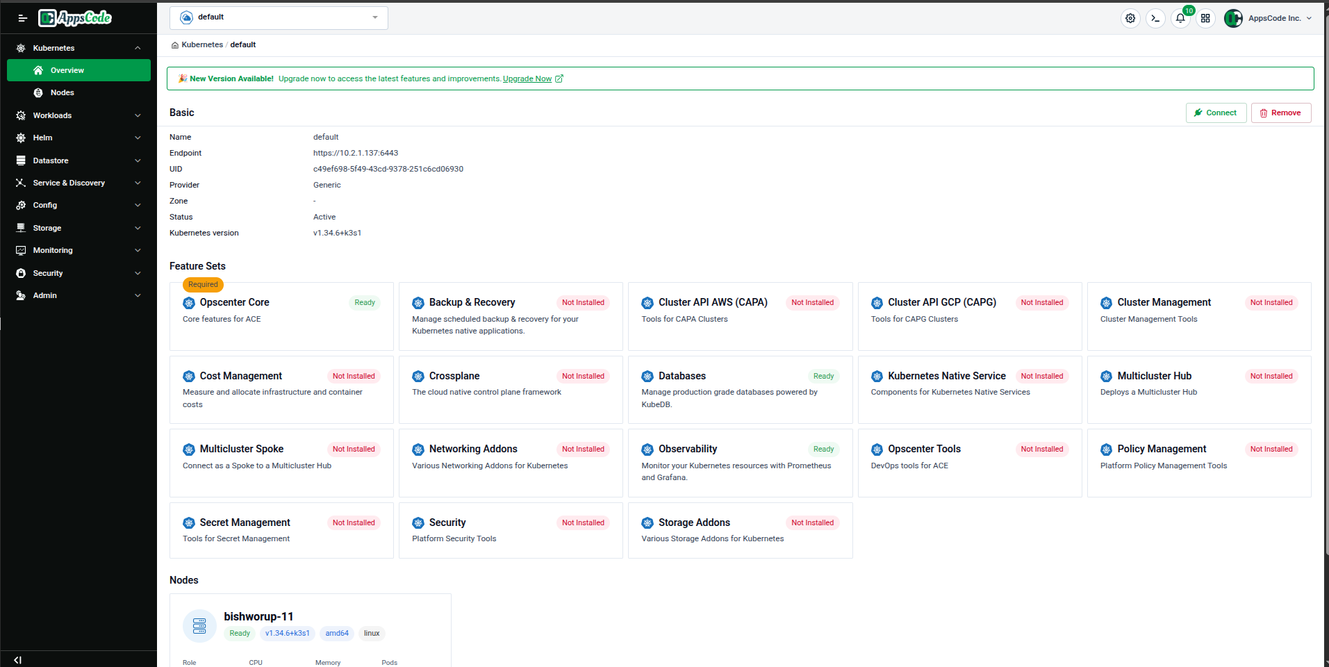 Cluster Overview page showing Basic info, Feature Sets grid, and Nodes section